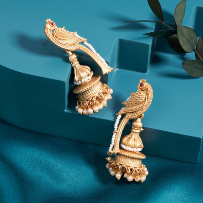 Gold-Toned Earrings with Eye-Catching Stone Detail - AAGER066
